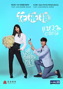 花戒指国语 第04集