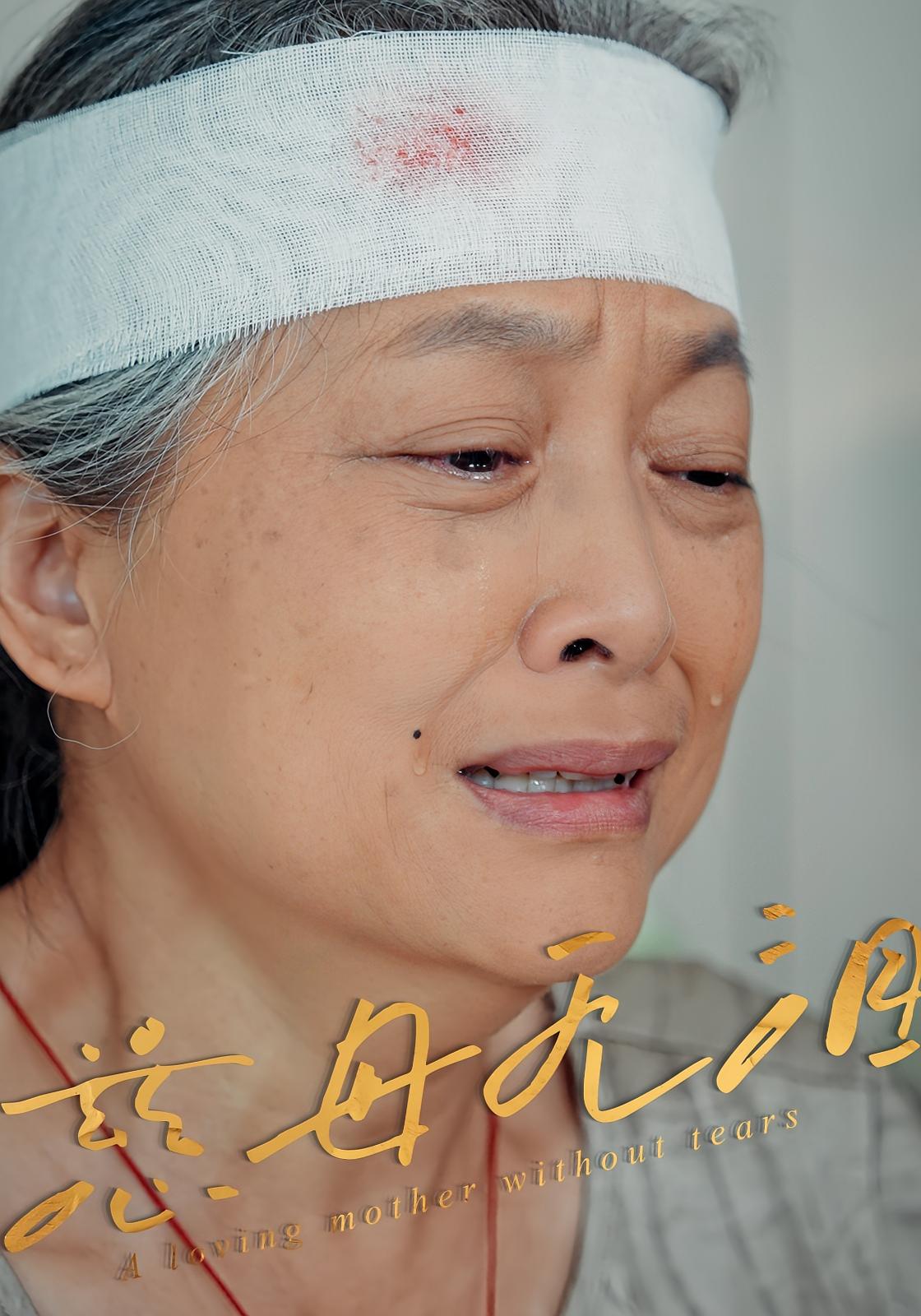 慈母无泪 第14集