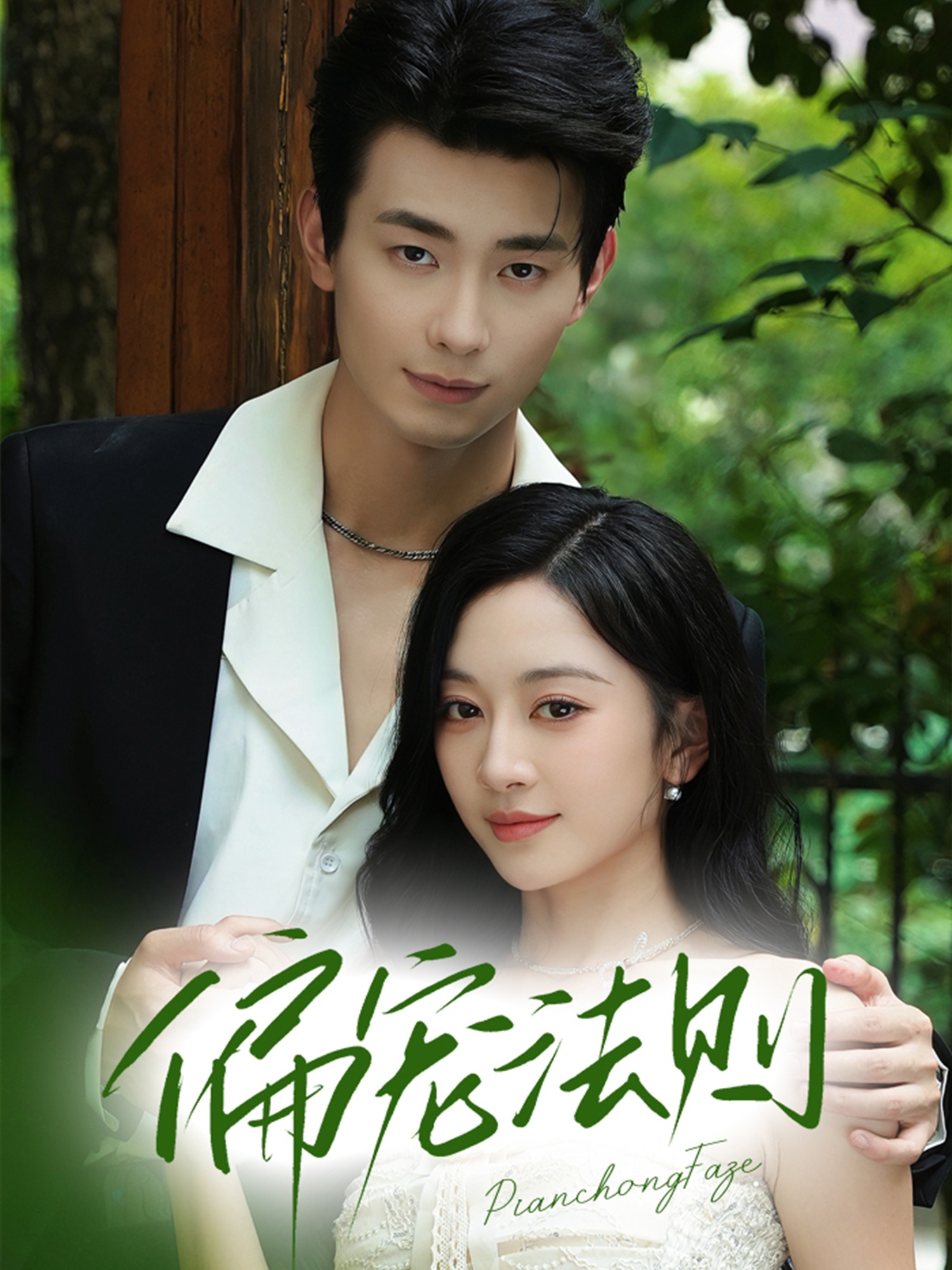 偏宠法则(全集)