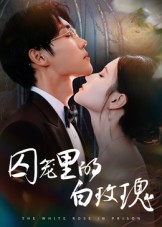 囚笼里的白玫瑰 第12集