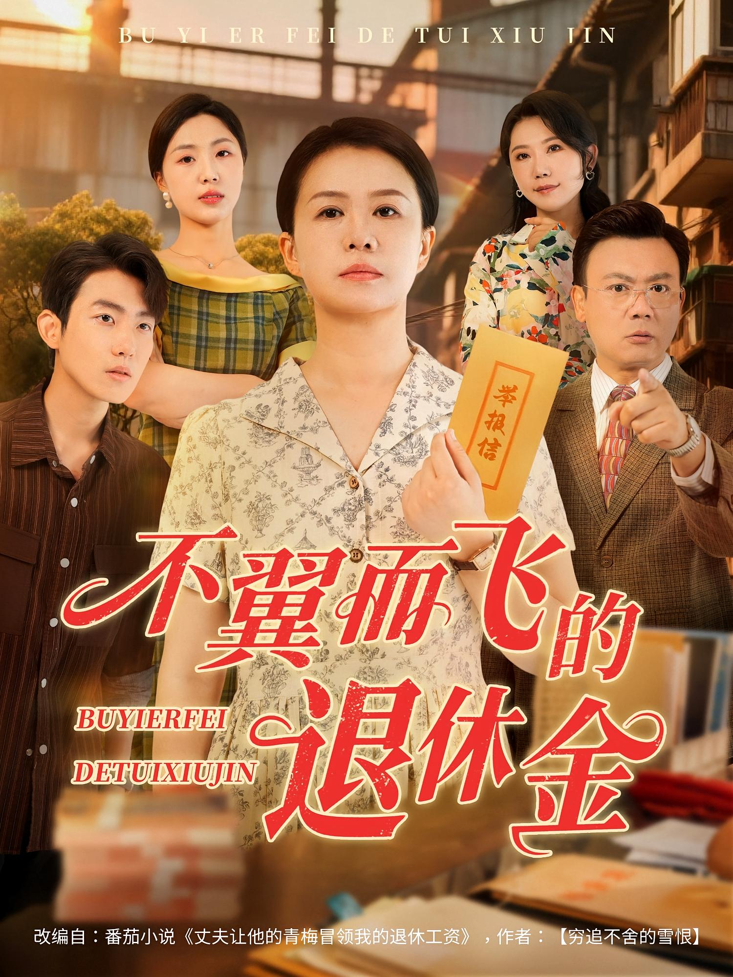 不翼而飞的退休金 第12集
