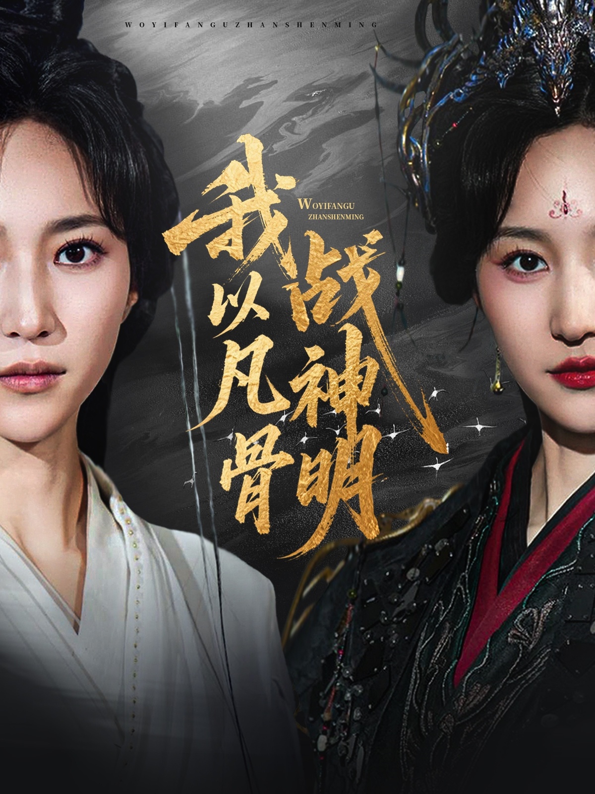 我以凡骨战神明 第42集