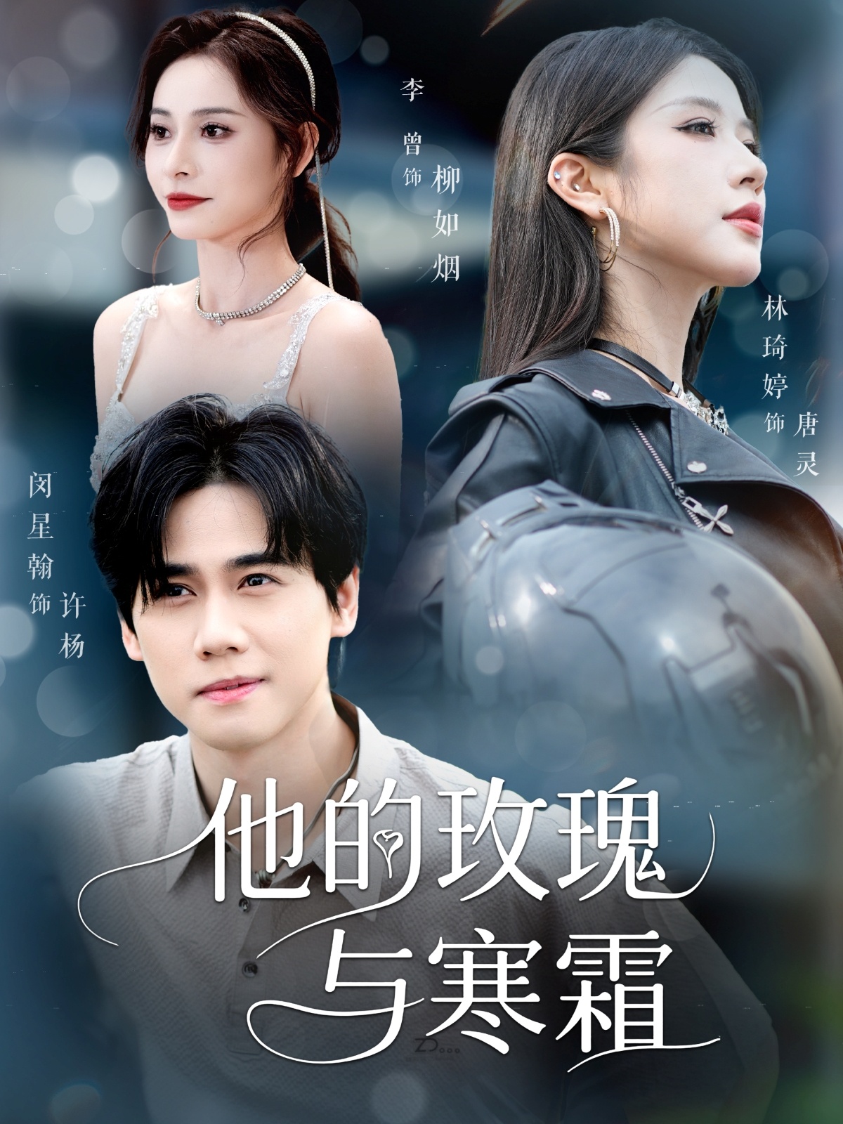 他的玫瑰与寒霜 第38集
