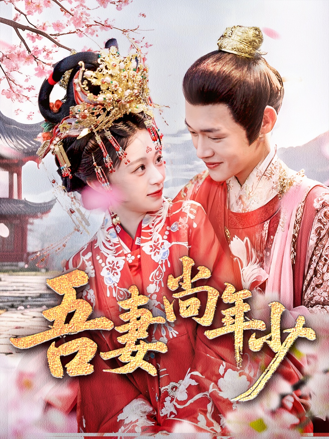 吾妻尚年少 第14集