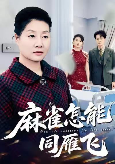 麻雀怎能同雁飞 第21集