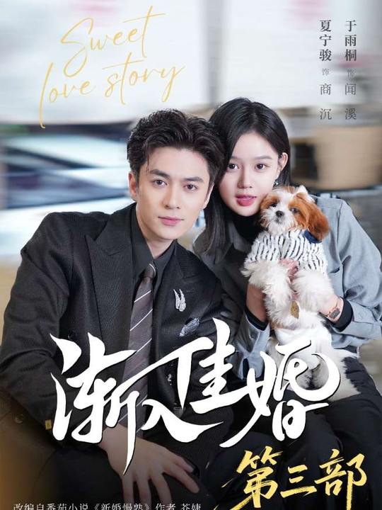 渐入佳婚3 第38集