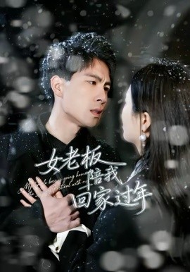女老板陪我回家过年 第17集