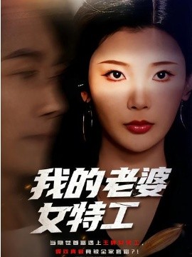 我的老婆女特工 第18集