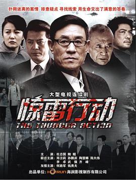 惊雷行动 第29集(大结局)