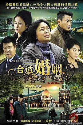 合适婚姻 第25集(大结局)