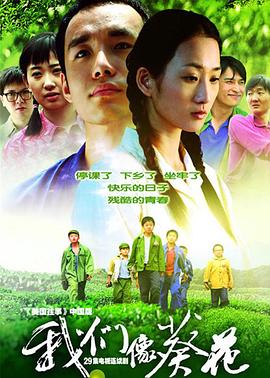 我们像葵花 第15集