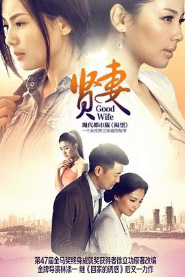 贤妻2013 第15集