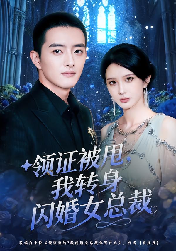 领证被甩，我转身闪婚女总裁(全集)